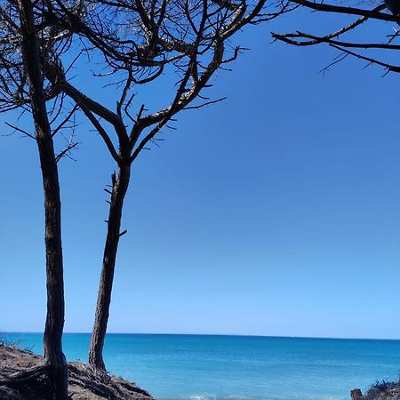 Apartmán Mare Toscano Riparbella Exteriér fotografie
