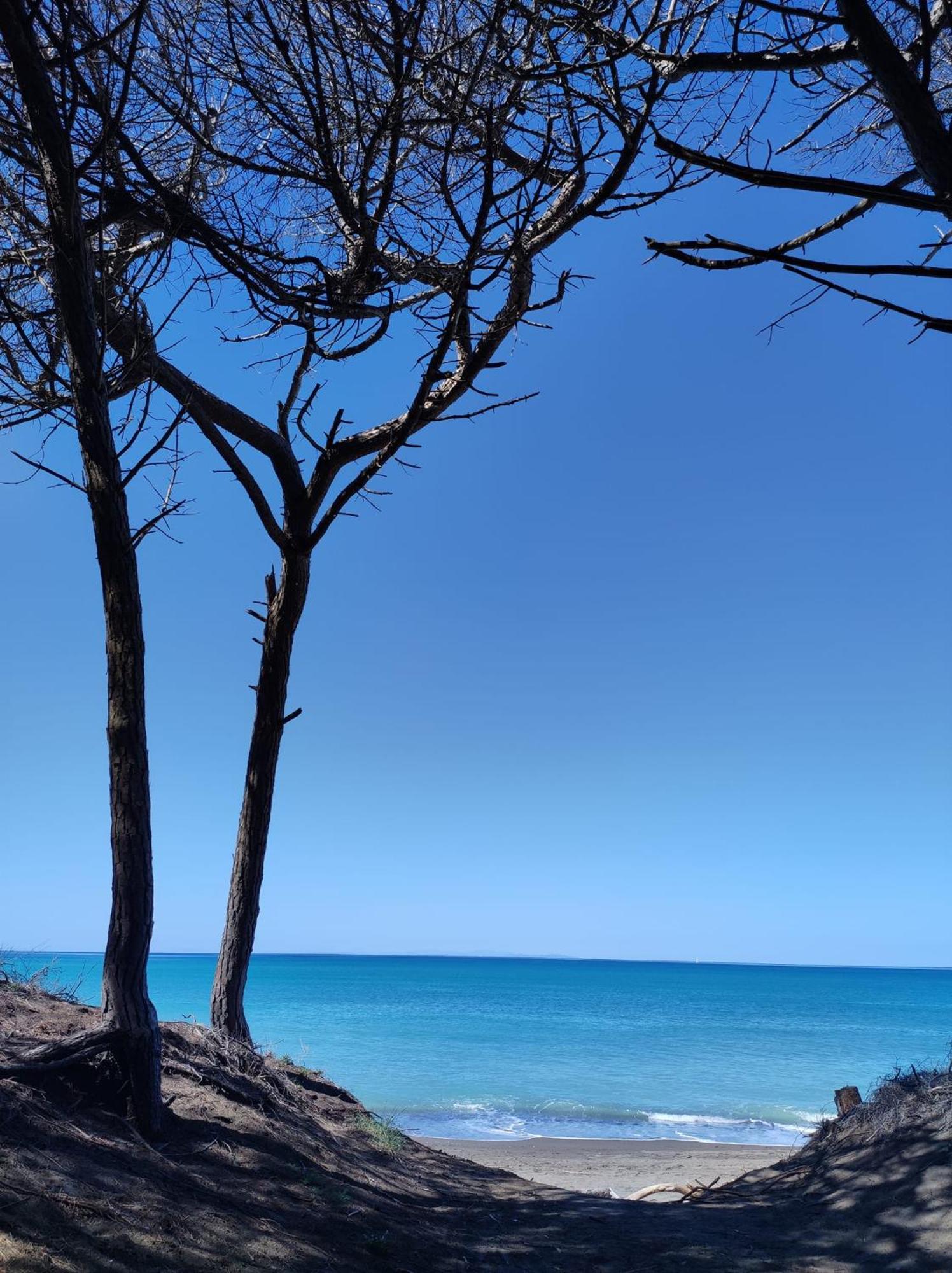 Apartmán Mare Toscano Riparbella Exteriér fotografie